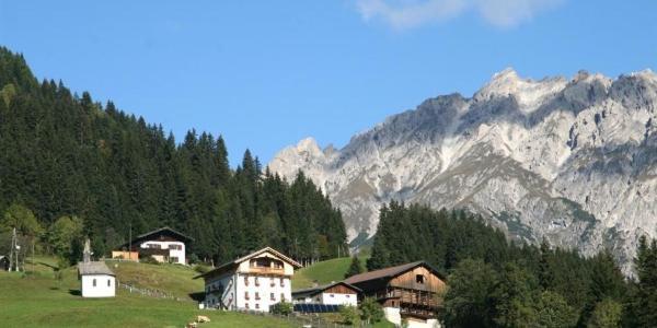 Mitterbergerhof Apartman Wiesen  Kültér fotó
